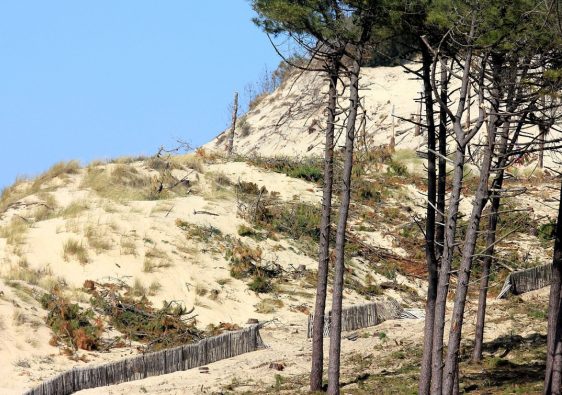 Pourquoi opter pour un camping en Vendée ?