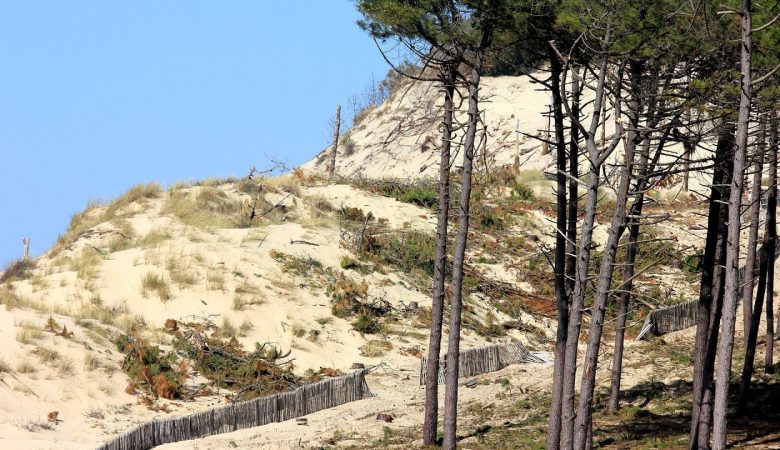 Pourquoi opter pour un camping en Vendée ?